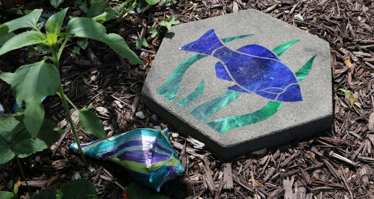 Aquatic Garden Theme